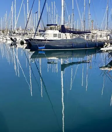 - Vieille - 7mn - 2mn Restaurant Musee Commerce Daire